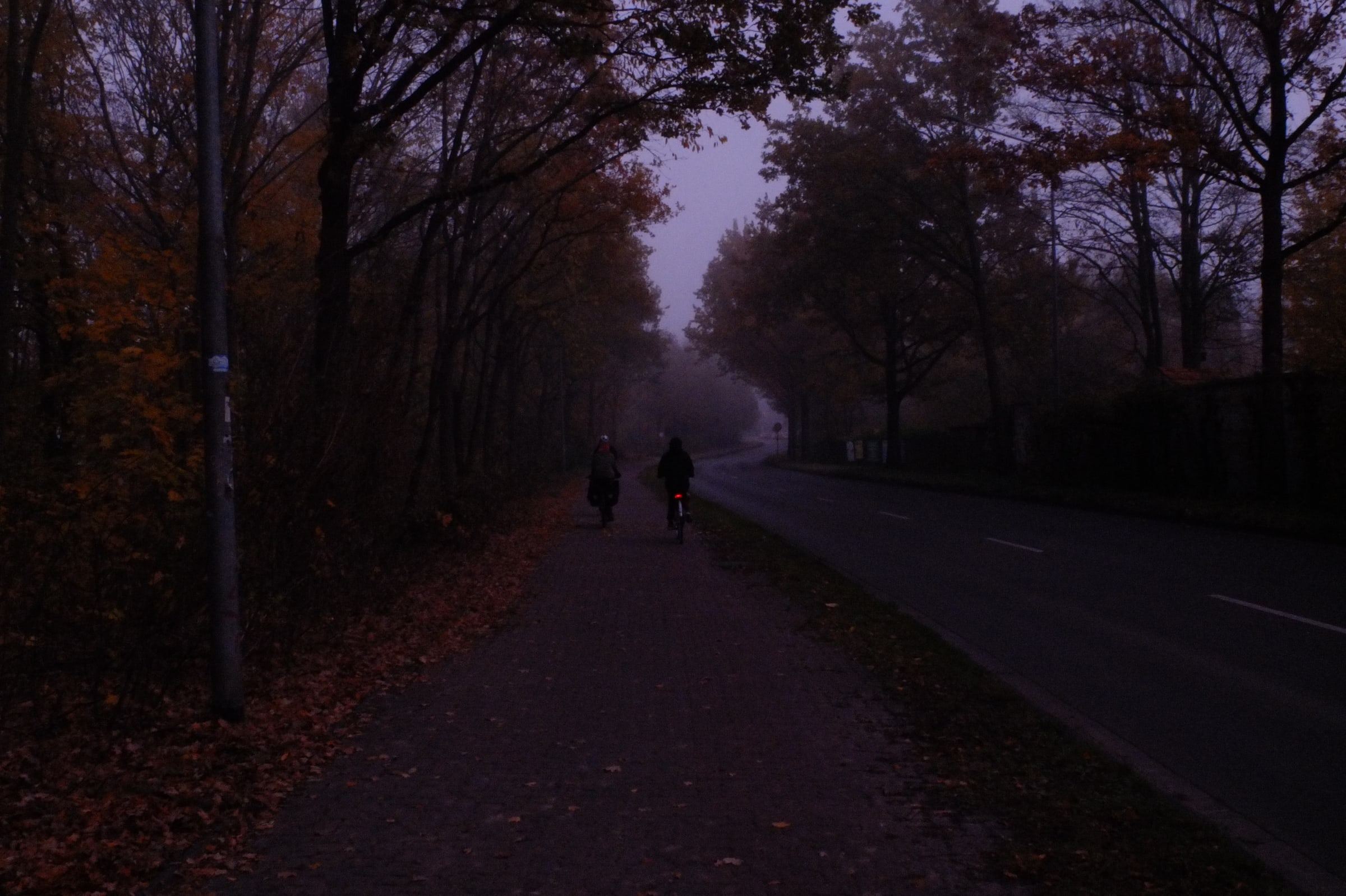 Autumn road through dark trees, two distant figures