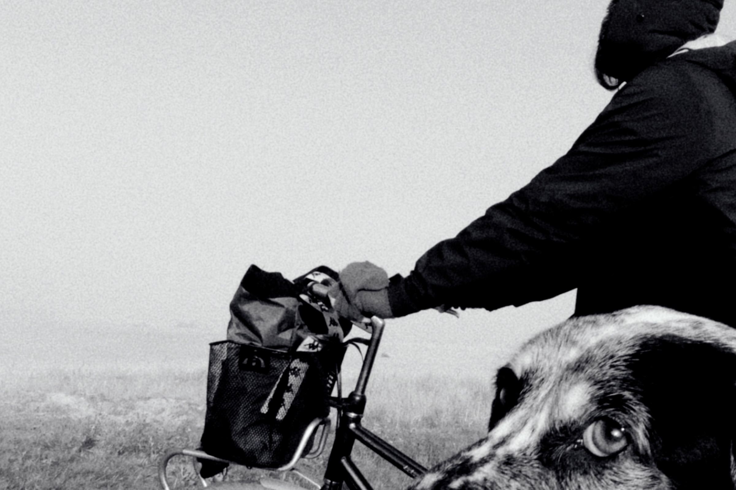 Cyclist with a dog on a misty path