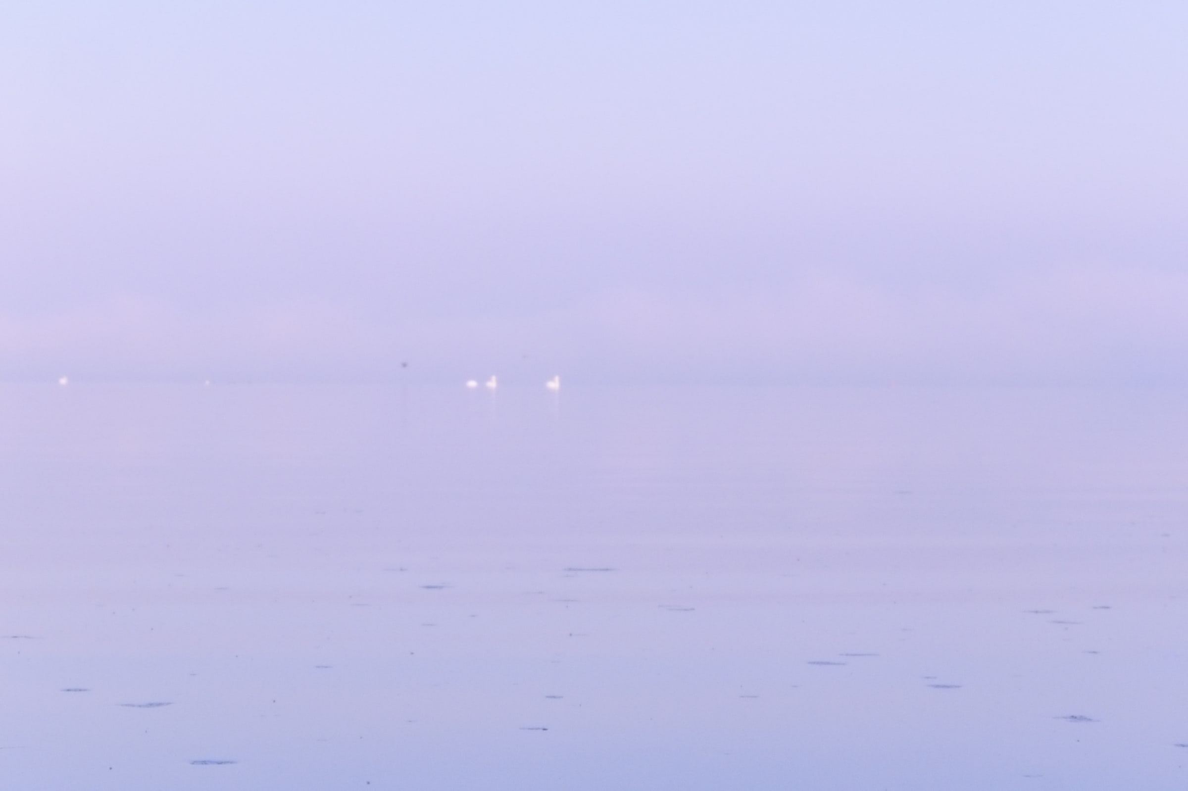Sea in lavender mist with distant lights