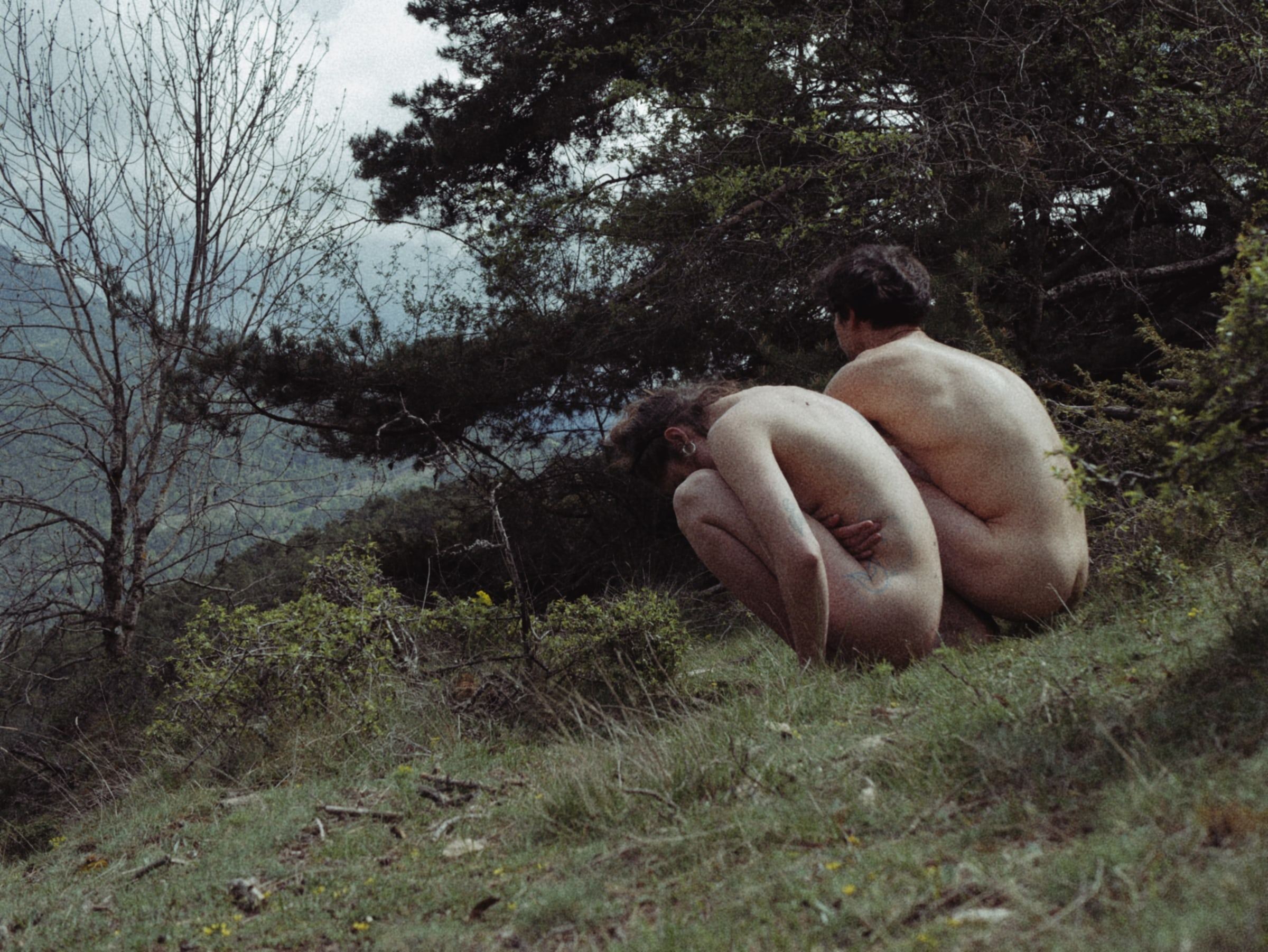 Two people curled up beneath a pine on a hillside